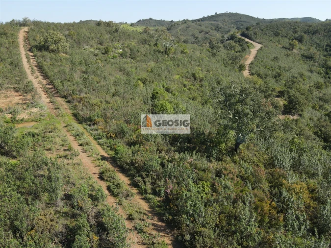 Terreno Agricola ou Rústico para Venda em Santa Clara-A-Nova e Gomes Aires Foto 37