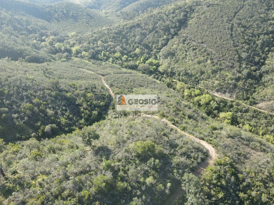 Terreno Agricola ou Rústico para Venda em Santa Clara-A-Nova e Gomes Aires Foto 30