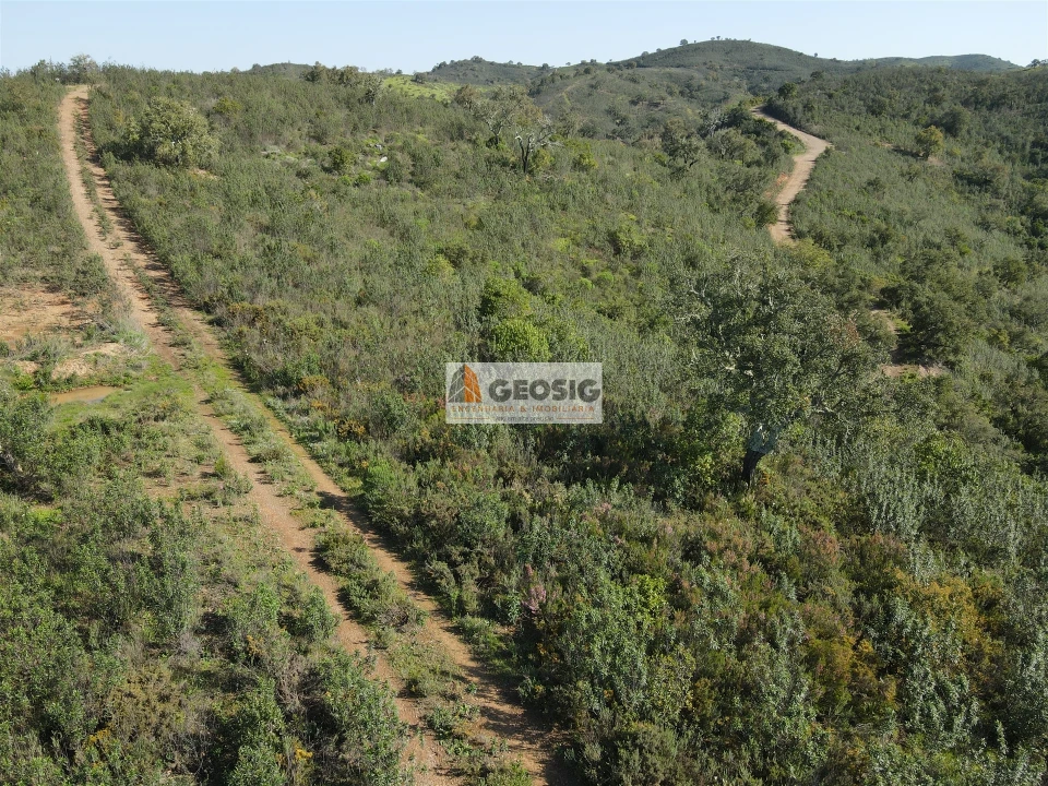 Terreno Agricola ou Rústico para Venda em Santa Clara-A-Nova e Gomes Aires Foto 37