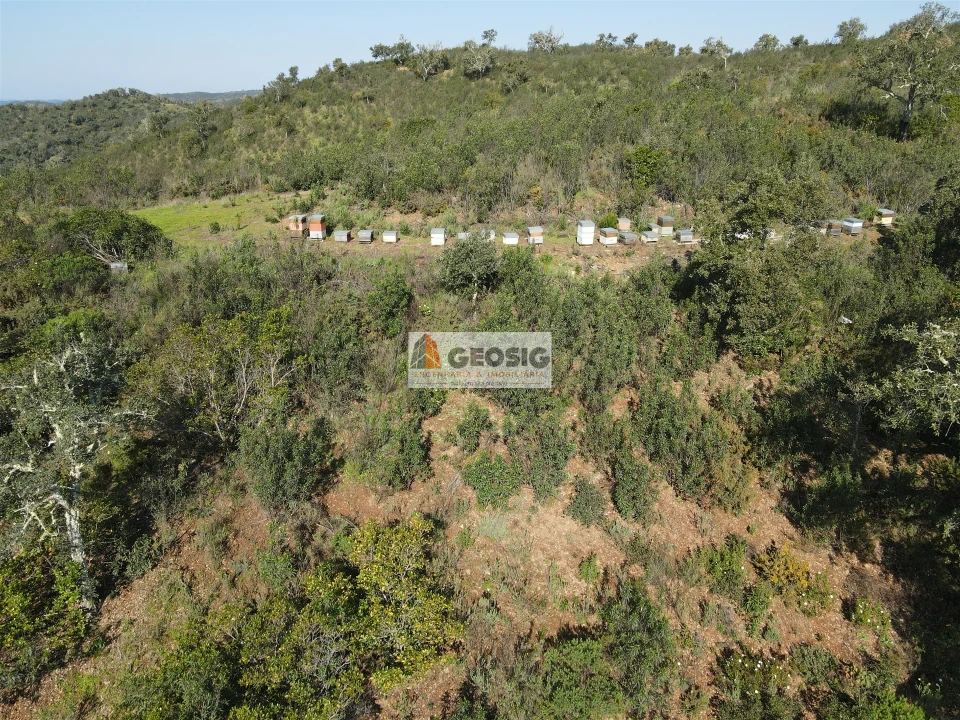 Terreno Agricola ou Rústico para Venda em Santa Clara-A-Nova e Gomes Aires Foto 36