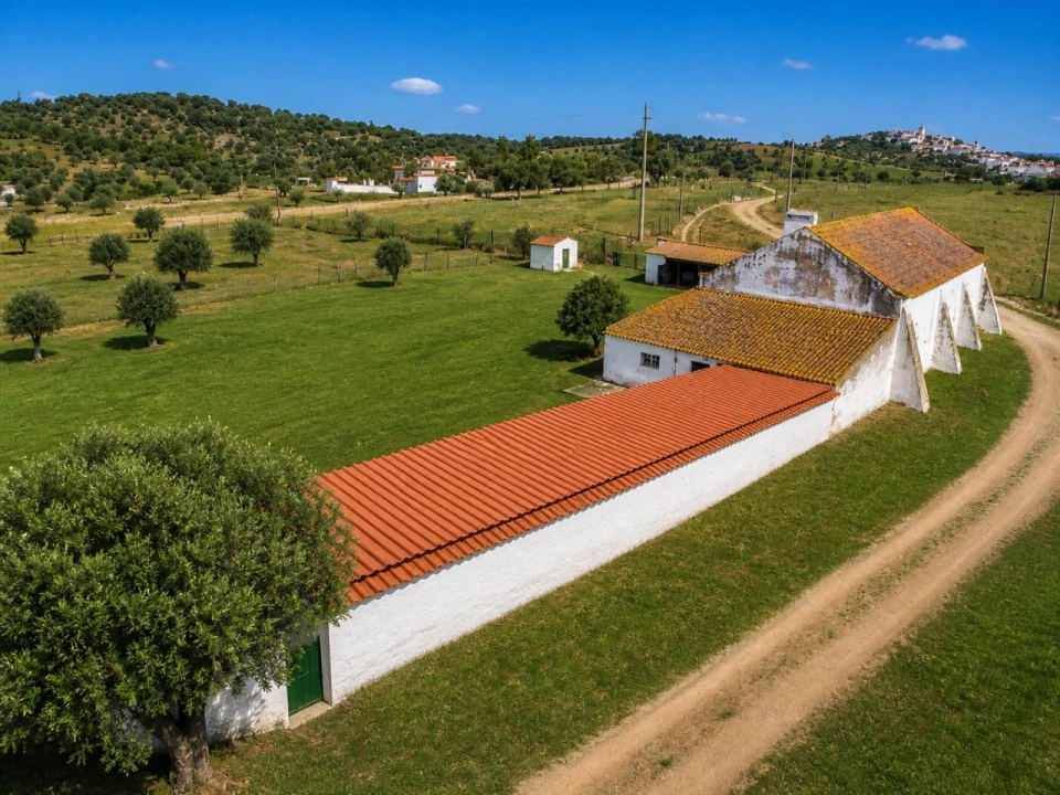 Moradia T1 para Venda em Cabeço de Vide Foto 3