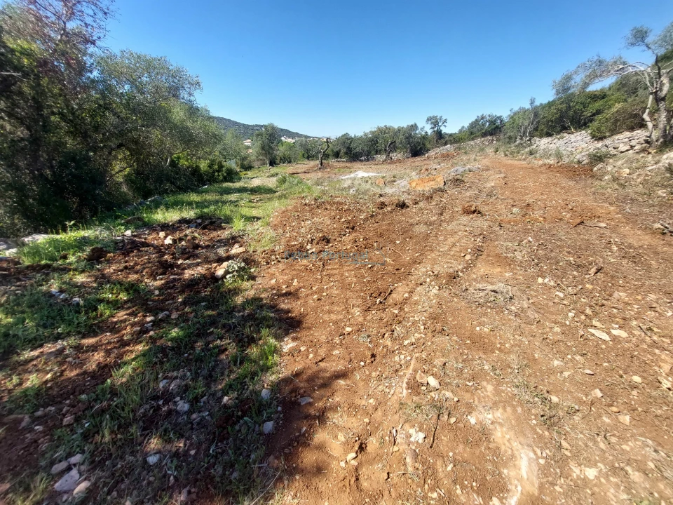 Terreno Agricola ou Rústico para Venda em São Brás de Alportel Foto 8