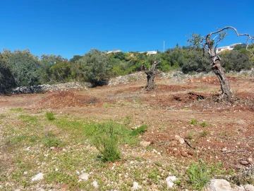 Terreno Agricola ou Rústico para Venda em São Brás de Alportel