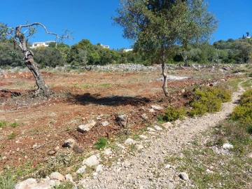 Terreno Agricola ou Rústico para Venda em São Brás de Alportel