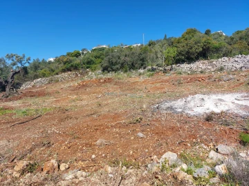Terreno Agricola ou Rústico para Venda em São Brás de Alportel