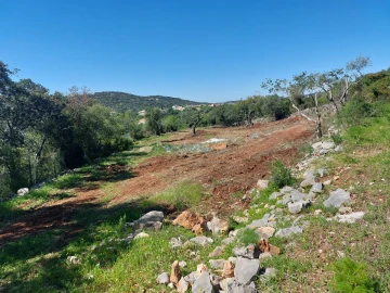 Terreno Agricola ou Rústico para Venda em São Brás de Alportel