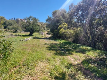 Terreno Agricola ou Rústico para Venda em São Brás de Alportel