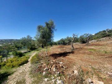 Terreno Agricola ou Rústico para Venda em São Brás de Alportel