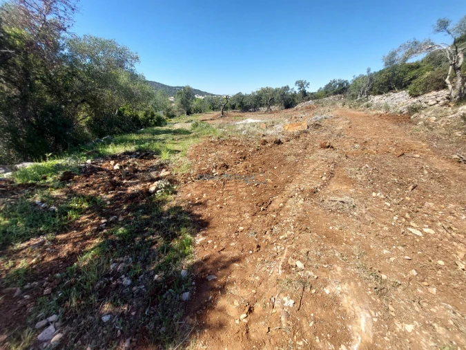 Terreno Agricola ou Rústico para Venda em São Brás de Alportel Foto 8