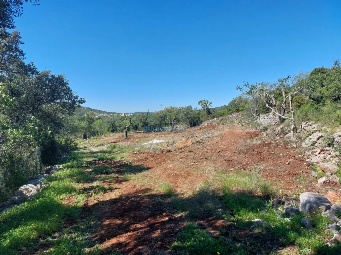 Terreno Agricola ou Rústico para Venda em São Brás de Alportel Foto 2