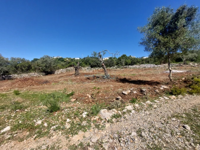 Terreno Agricola ou Rústico para Venda em São Brás de Alportel Foto 7