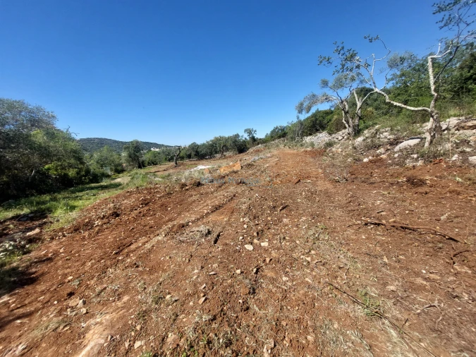 Terreno Agricola ou Rústico para Venda em São Brás de Alportel Foto 9