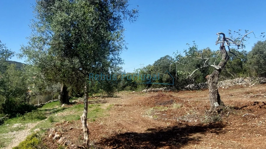 Terreno Agricola ou Rústico para Venda em São Brás de Alportel
