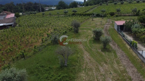 Terreno para Venda em Rio Torto e Lagarinhos