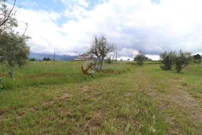 Terreno para Venda em Rio Torto e Lagarinhos