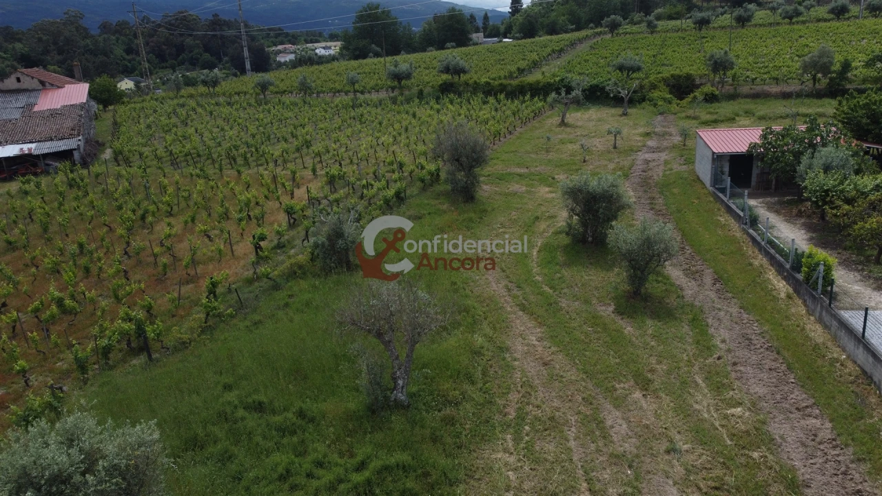 Terreno para Venda em Rio Torto e Lagarinhos Foto 15