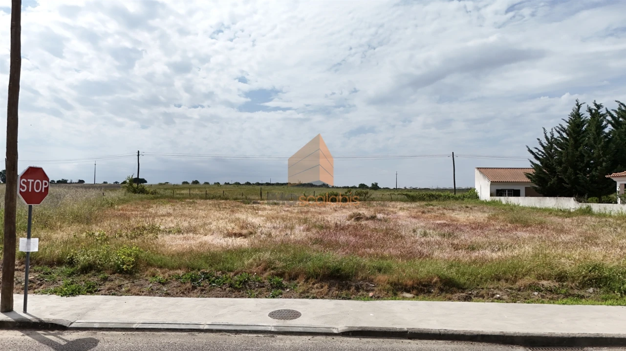 Terreno para Venda em Alpiarça Foto 16