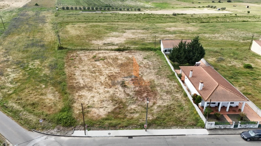 Terreno para Venda em Alpiarça Foto 12