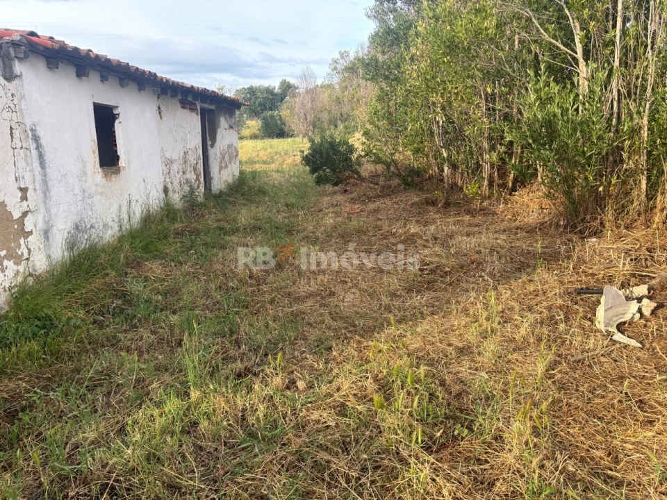 Moradia T2 para Venda em Vila Nova da Barquinha Foto 3