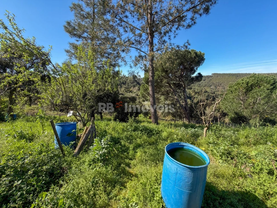 Terreno Agricola ou Rústico para Venda em São Miguel do Rio Torto e Rossio Ao Sul do Tejo Foto 16