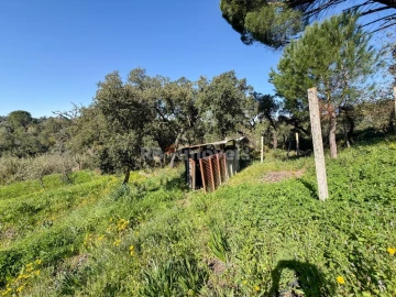 Terreno Agricola ou Rústico para Venda em São Miguel do Rio Torto e Rossio Ao Sul do Tejo
