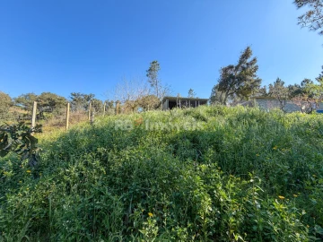 Terreno Agricola ou Rústico para Venda em São Miguel do Rio Torto e Rossio Ao Sul do Tejo