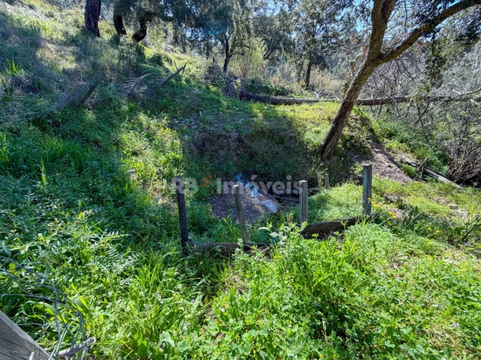 Terreno Agricola ou Rústico para Venda em São Miguel do Rio Torto e Rossio Ao Sul do Tejo Foto 12