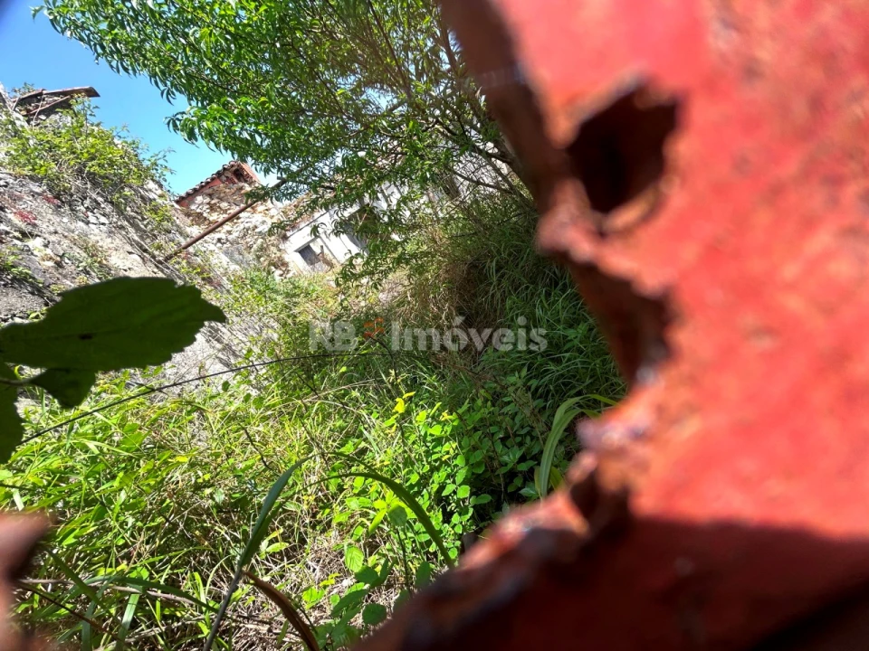 Terreno para Venda em Olaia e Paço Foto 5