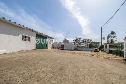 Armazém para Venda em Juncal