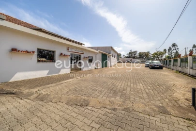 Armazém para Venda em Juncal