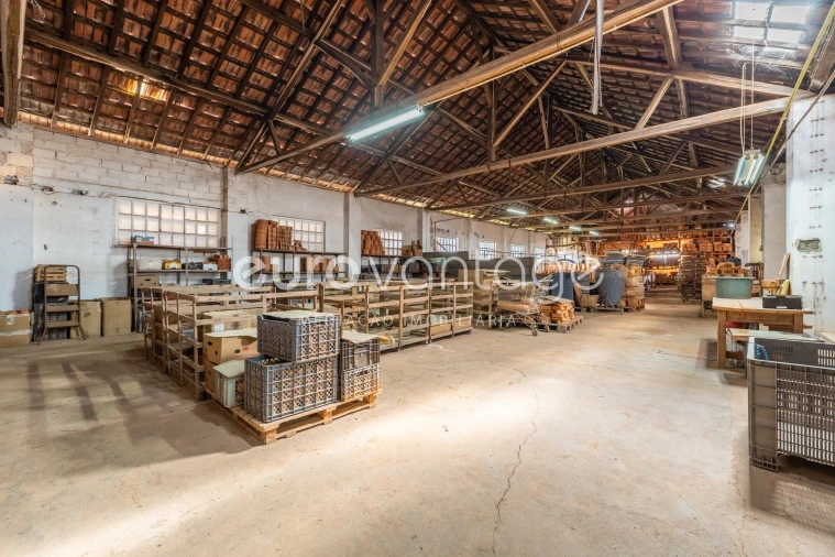 Armazém para Venda em Juncal Foto 14