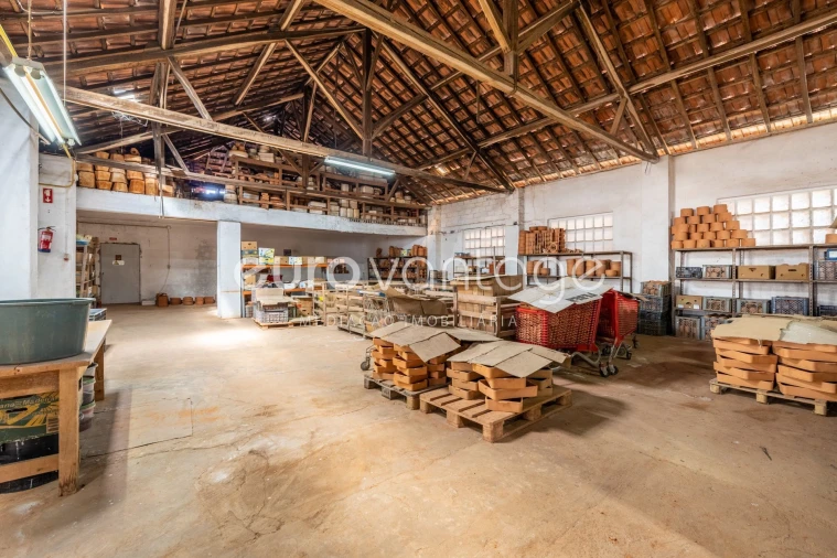 Armazém para Venda em Juncal Foto 13