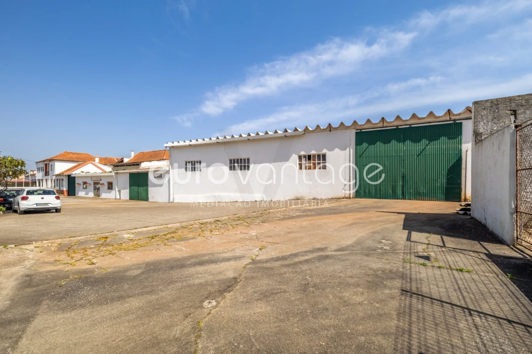 Armazém para Venda em Juncal Foto 4