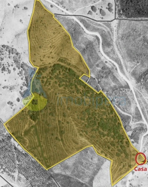 Quinta T4 para Venda em Santana da Serra