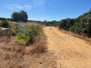 Terreno Agricola ou Rústico para Venda em Ferreiras