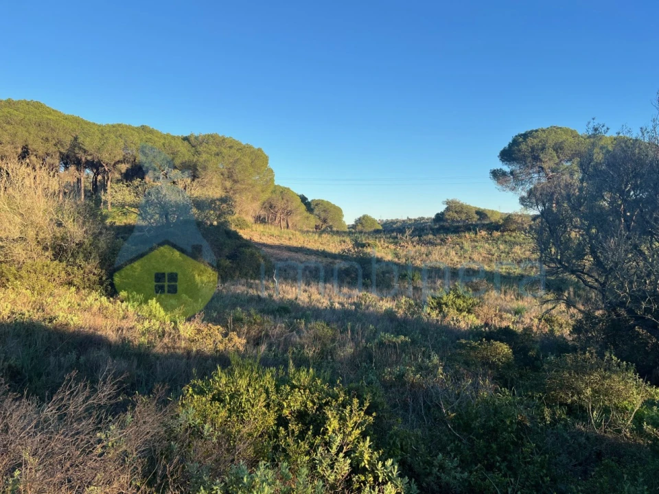 Terreno Agricola ou Rústico para Venda em Paderne Foto 19