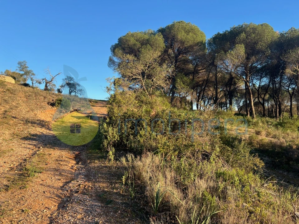 Terreno Agricola ou Rústico para Venda em Paderne Foto 28