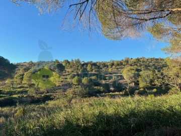 Terreno Agricola ou Rústico para Venda em Paderne