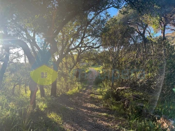 Terreno Agricola ou Rústico para Venda em Paderne