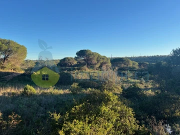 Terreno Agricola ou Rústico para Venda em Paderne