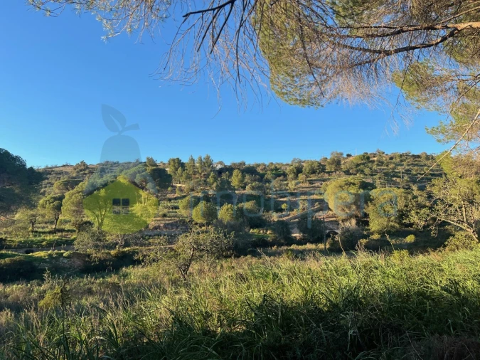 Terreno Agricola ou Rústico para Venda em Paderne Foto 2