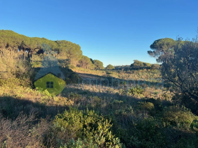 Terreno Agricola ou Rústico para Venda em Paderne Foto 19