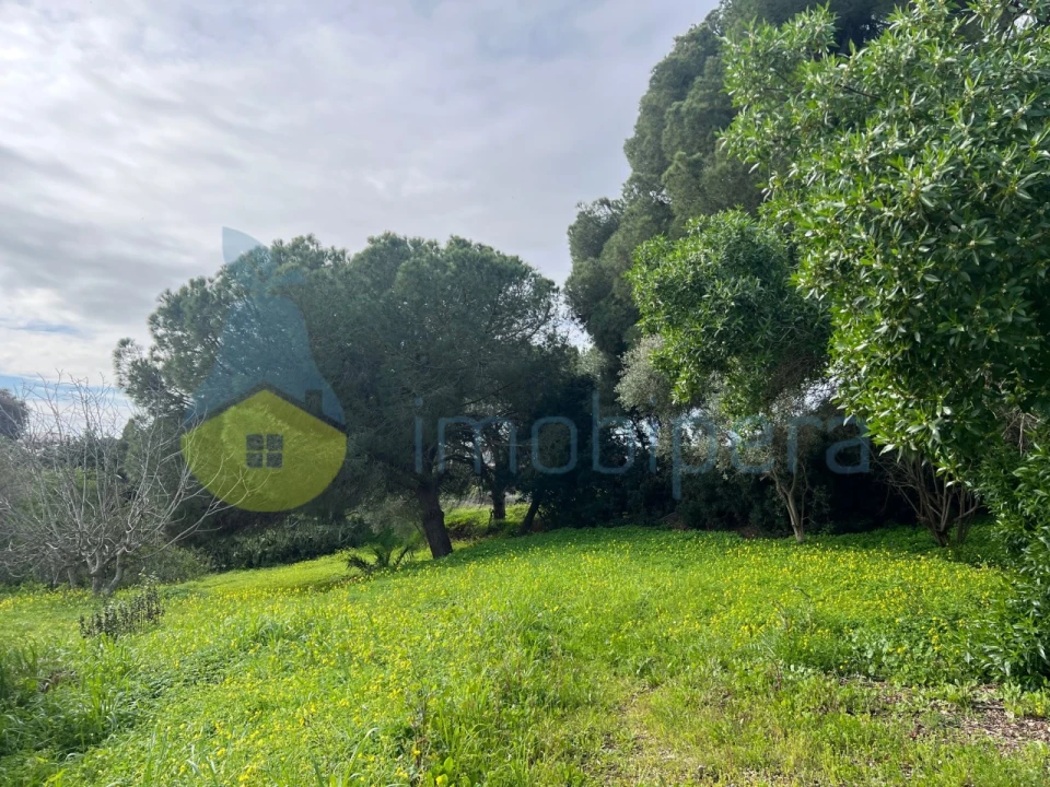 Terreno para Venda em Guia Foto 1