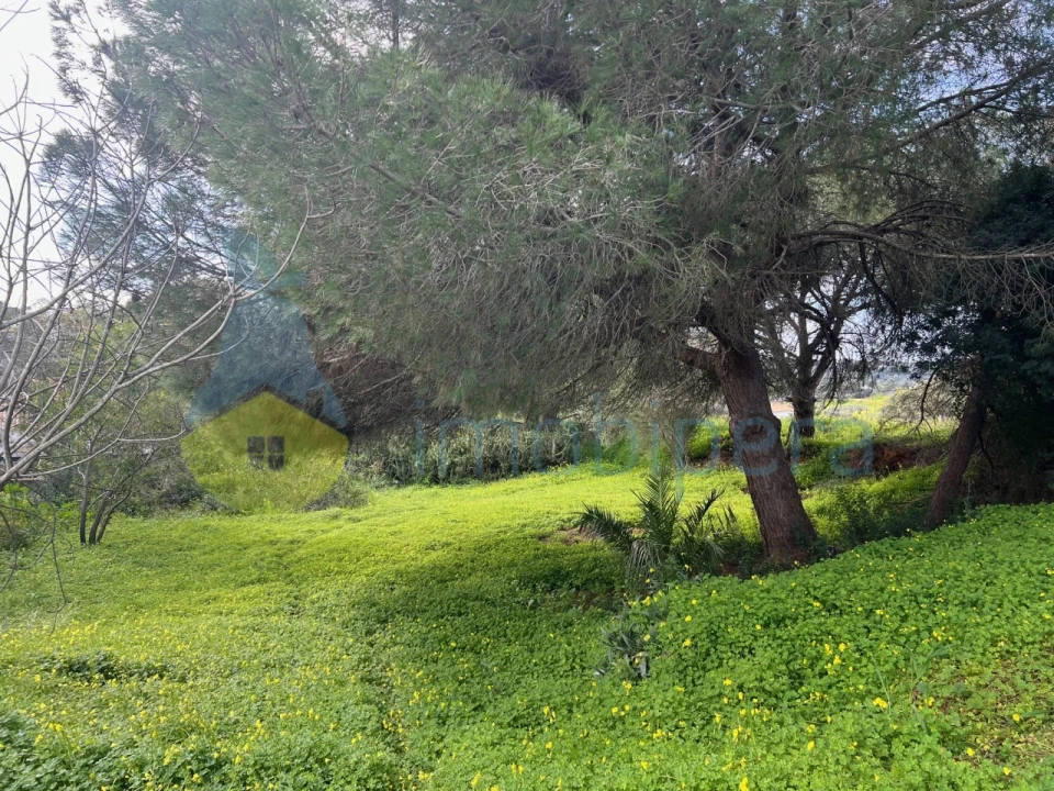 Terreno para Venda em Guia Foto 2