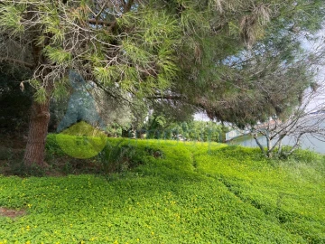 Terreno para Venda em Guia
