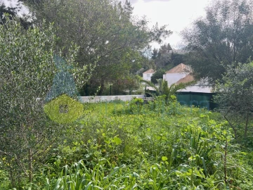 Terreno para Venda em Guia