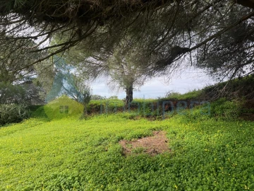 Terreno para Venda em Guia