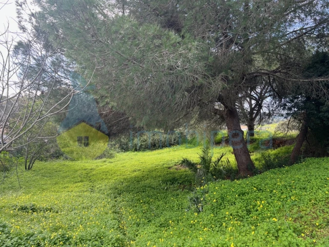 Terreno para Venda em Guia Foto 2