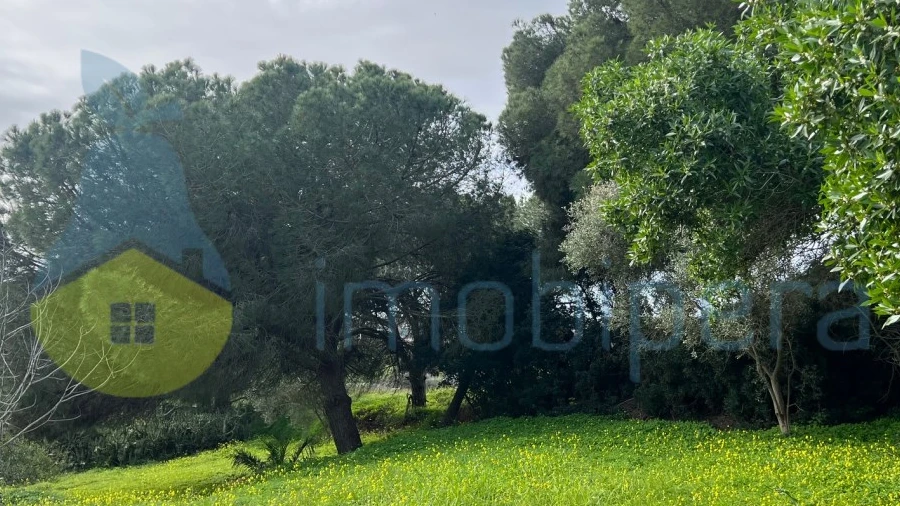 Terreno para Venda em Guia
