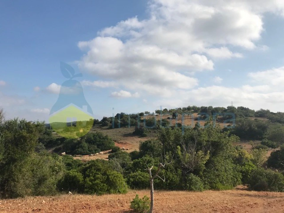 Terreno Agricola ou Rústico para Venda em Ferreiras Foto 3